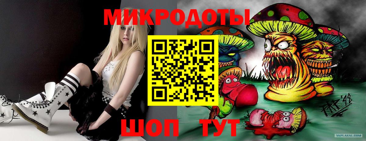 Псилоцибиновые грибы Psilocybe  Галлюциногенные грибы прущие грибы  Вход с VPN  Реж 